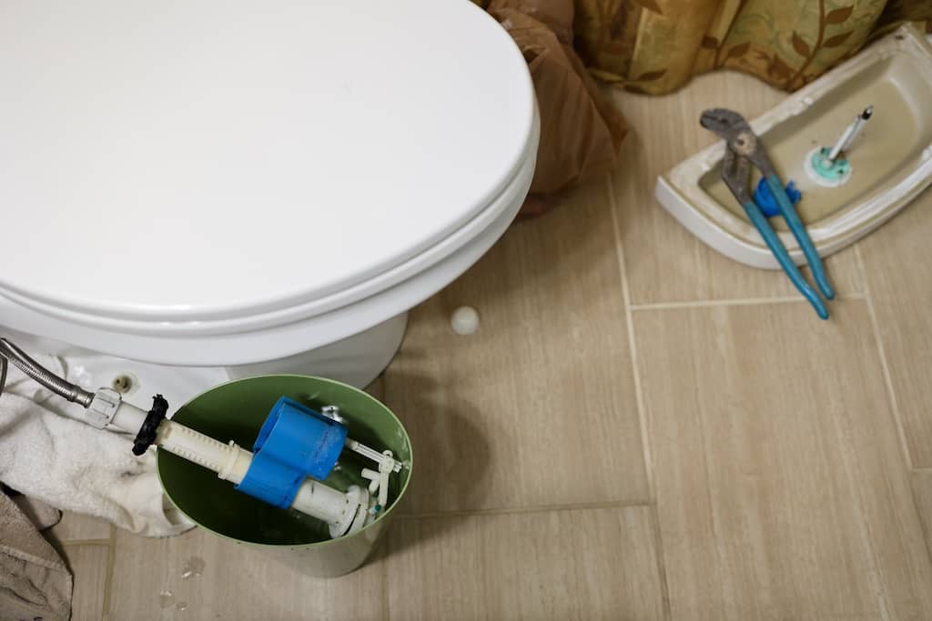 Inodoro limpio y bien mantenido en un baño.