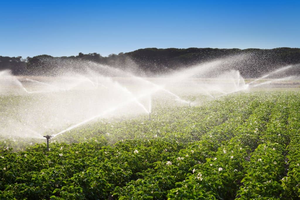 Sistema de riego inteligente en un jardín, con sensores de humedad y riego por goteo para optimizar el uso del agua.